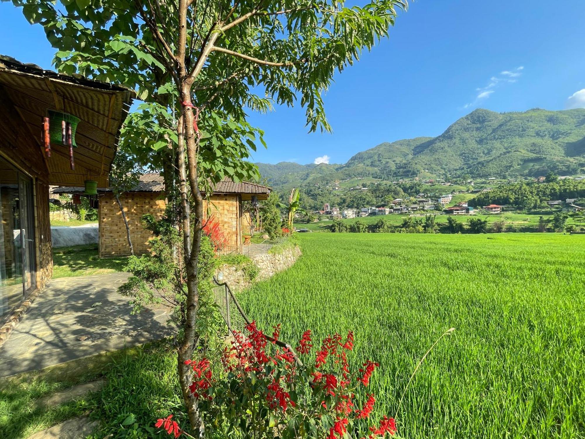 Гостевой дом Sapa Bamboo Eco Экстерьер фото